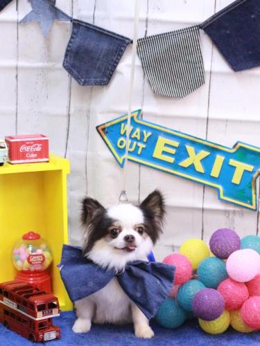 20230421リアンくん